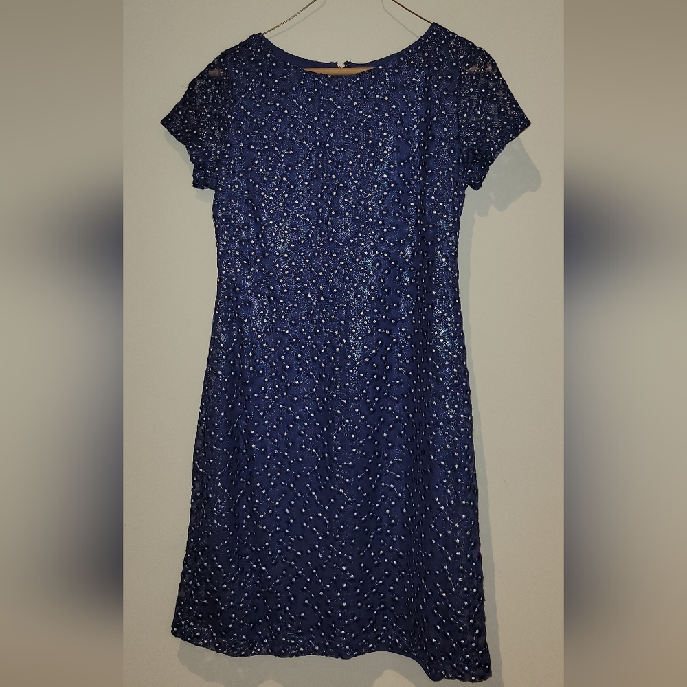 NWT The Limited Navy Blue Sheer Sheath Embroidered Dress with Sparkle